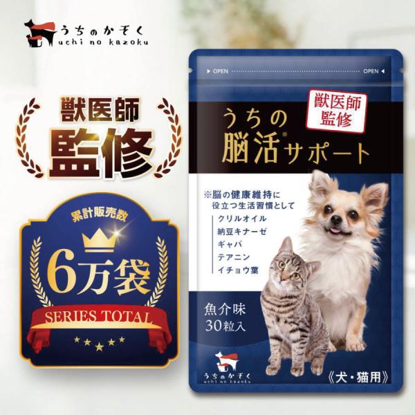 脳の健やかな発育を強力サポート！新世代DHAサプリ！【しん健堂　クリルオイル】 脳の健やかな発育を強力サポート！新世代DHAサプリ！【しん健堂