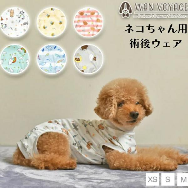 術後ウェア ケアウェア ネコちゃん用  Solgra ソルグラ 猫用 猫服 キャットウェア 犬の女の子用 手術後服 皮膚保護服 スコティッシュ マンチカン アメショー