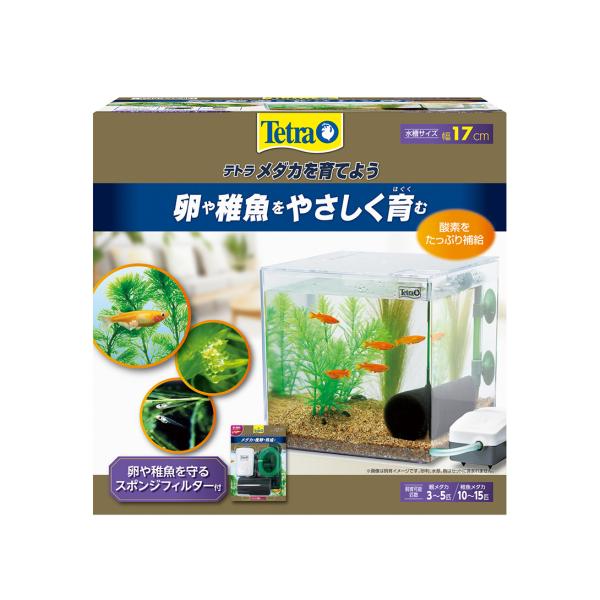 テトラ メダカを育てよう PL-17KB