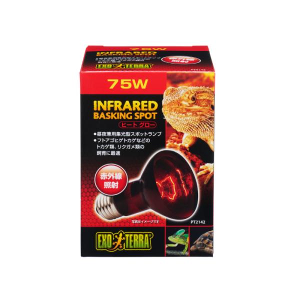 カラーガラスを使用した、赤外線を照射するスポットランプです。 生体には見えにくい赤い光で、昼夜を問わず、活動サイクルを妨げずにテラリウムを全体的に赤外線を照射します。 昼夜のサイクルを飼育爬虫類に作るために、エキゾテラ「サングロー」と組み合...