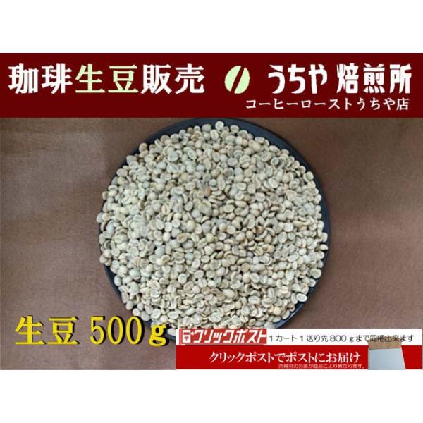 生豆500ｇ クレオパトラ
