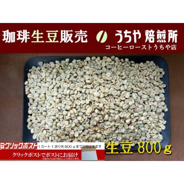 生豆800ｇ クレオパトラ