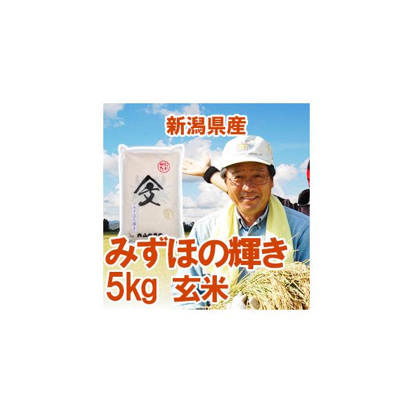 内山農産の厳選米】令和7年産 新潟県産 「みずほの輝き」 玄米5kg