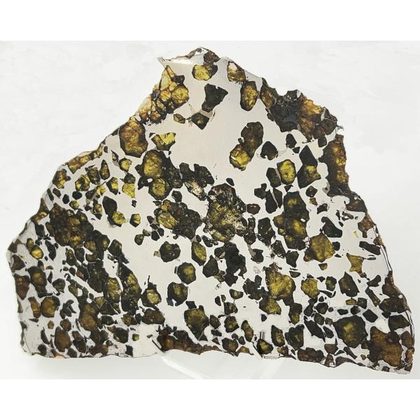 イミラック・パラサイト 石鉄隕石 560g Imilac Pallasite Meteorite