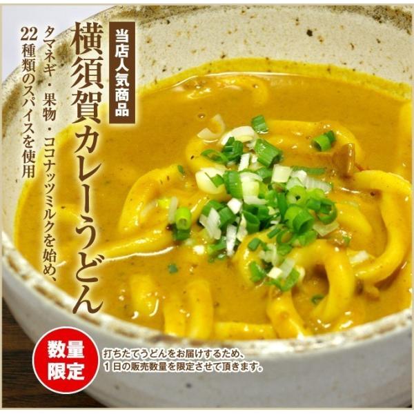 横須賀カレーうどんセット 5人前 激辛赤カレーのトッピング 2つ付き Buyee Buyee Japanese Proxy Service Buy From Japan Bot Online