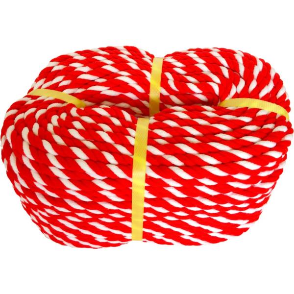 uedagakki_kouhakurope100 uedagakki_kouhakurope100