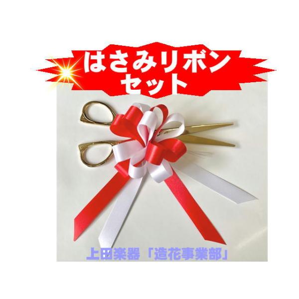 Te[vJbgp͂݁ij{Te{Zbg