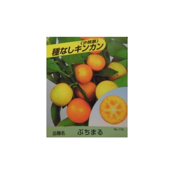 LJ v`} 0.4mO 15cm|bg i P i j yɃx_ł PVPc A c  ʎc ʎ  k