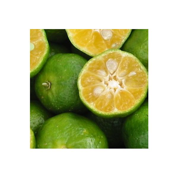 V[N[T[  0.2mO 9.0cm|bg i P i jij yɃx_ł c A c  ʎc ʎ  k