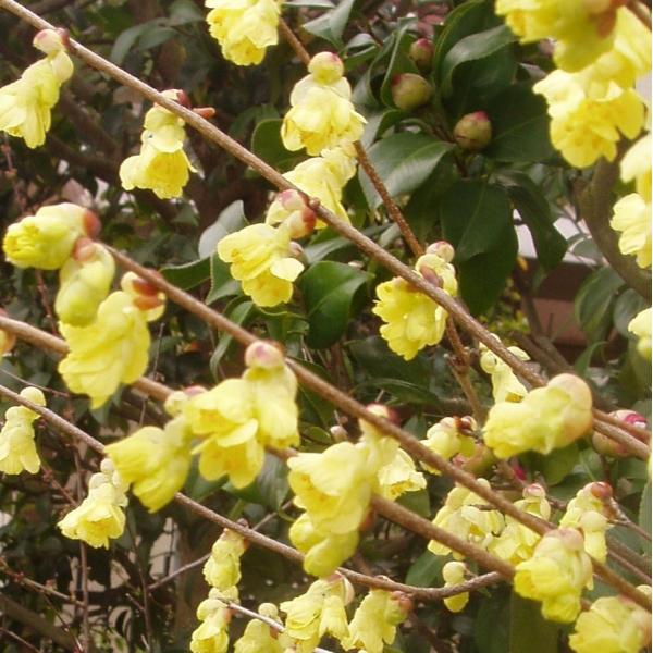 qEK~YL 0.3mO 15cm|bg i5{Zbgjij  c A c 