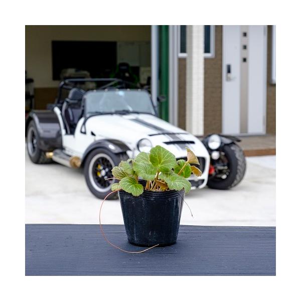 LmV^ / 9.0cm|bg i P i j  c A c  OhJo[