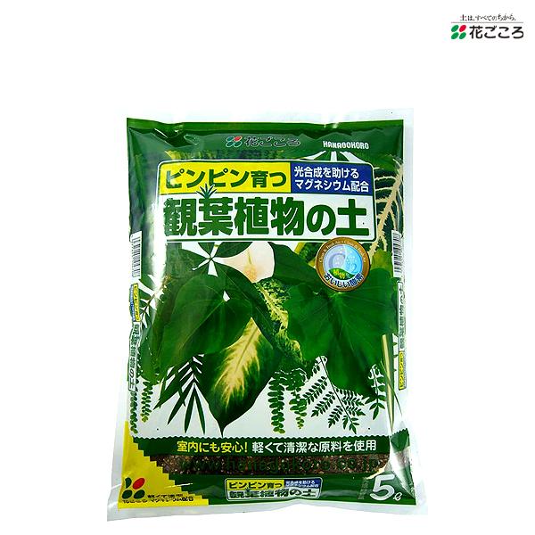 観葉植物の土 5Ｌ観葉植物専用土 花ごころ