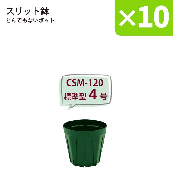 ○10鉢セット○ スリット鉢 直径12cm 4号 〈標準型〉樹脂製 とんでも