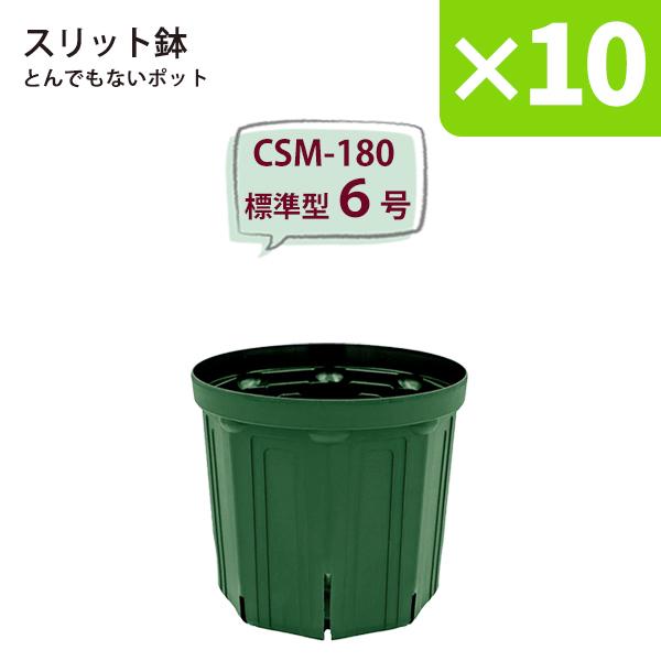 40個セット】とんでもないポット スリット鉢 6号 スリット鉢6号のおすすめ