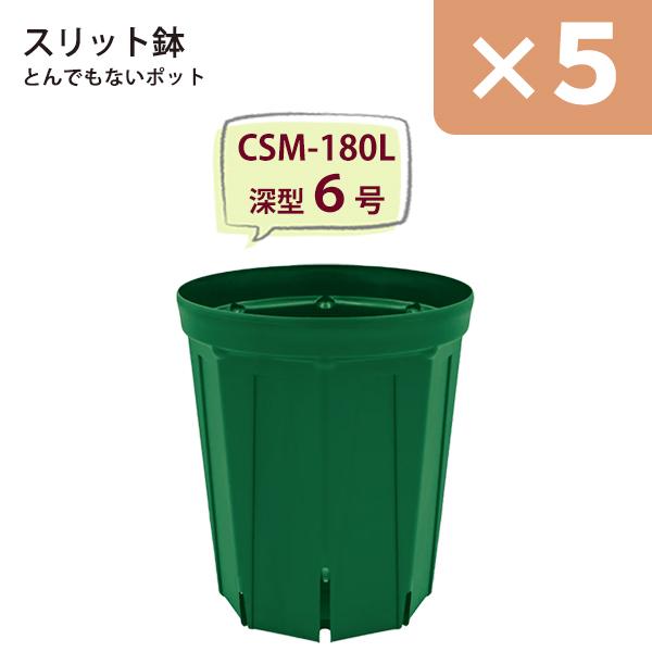 ☆5鉢セット☆ スリット鉢 直径18cm 6号〈深型 ロングタイプ〉 樹脂製
