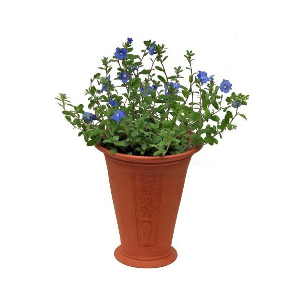 在庫僅少】ウィッチフォード テラコッタ 植木鉢 ツリーオブライフ 生命