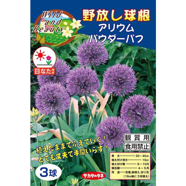 アリウム球根 パウダーパフ 紫 絵袋3球入り サカタのタネ アリアム アリューム 第四種郵便対応 秋植え球根 72 Bulb Sa Allium Powderpuff 渋谷園芸 植木鉢屋 通販 Yahoo ショッピング