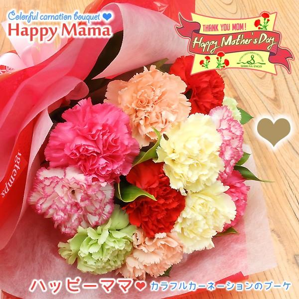 母の日フラワーギフト カーネーション花束 ハッピーママ 花束 ブーケ カラフル ふんわり 定番 b Mothersday Bouquet Colorful 渋谷園芸 植木鉢屋 通販 Yahoo ショッピング