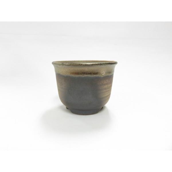 ウチョウラン 農業資材 ガーデニング用品の通販 価格比較 価格 Com