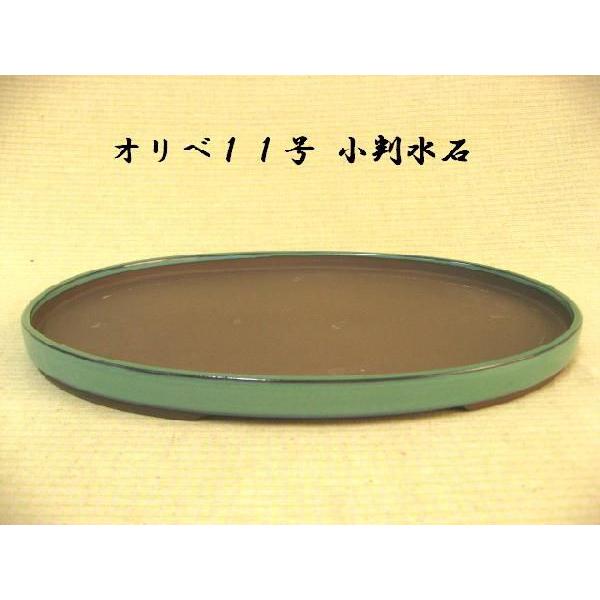 盆栽 受け皿 - 鉢の人気商品・通販・価格比較 - 価格.com 盆栽 受け皿 - 鉢の人気商品・通販・価格比較 - 価格.com