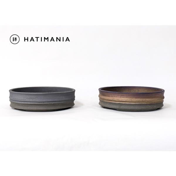 5号 丸浅型鉢【陶器】直径16.4cm・高さ4.3cm陶器の性質上、多少の擦り傷・大小及び色の違い等はご了承下さい。