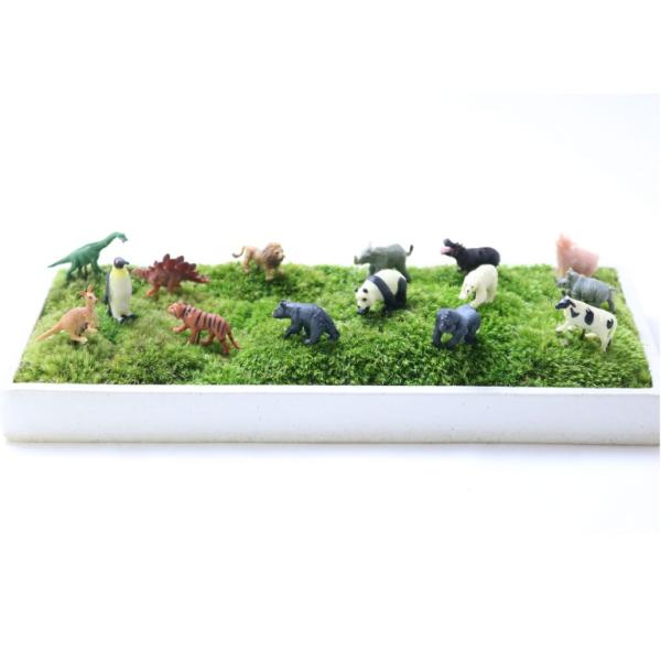 素材 TPR 針金鉢マニアのアニマルピックは、盆栽にしっかり刺さる様にピックと本体がしっかり接着してありますので、落ちる心配もありません。盆栽以外にも、お花や多肉、サボテン、インテリアetc....にこのピックをプラスするだけで、一気にお洒...