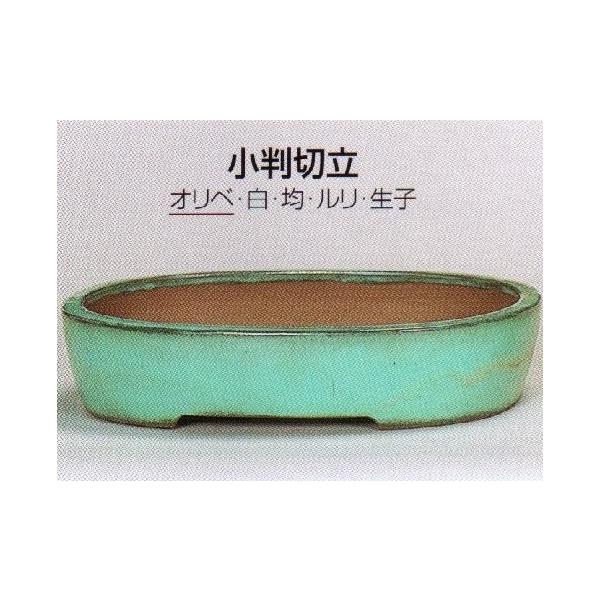 盆栽鉢の人気商品・通販・価格比較 - 価格.com