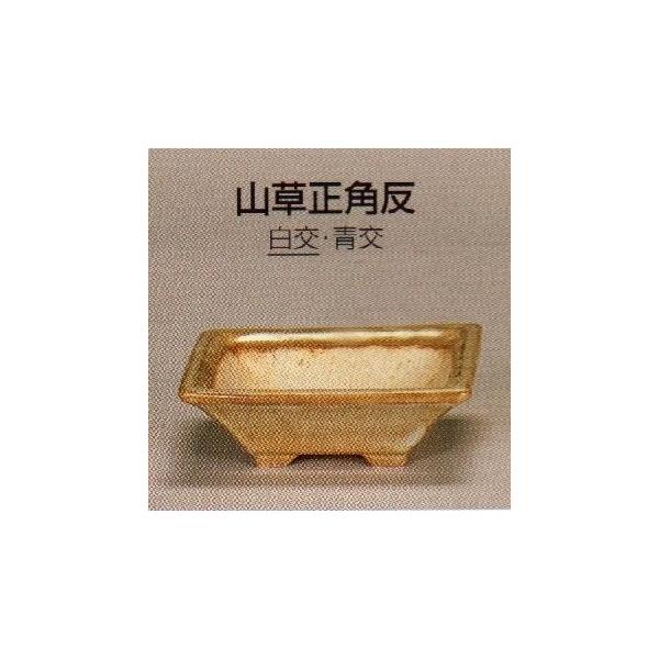 Terry　9号　陶器鉢　専用培養土セット 小品盆栽 仕立鉢 ドイツ製 8cm 10枚 2.2号 硬質素焼き鉢