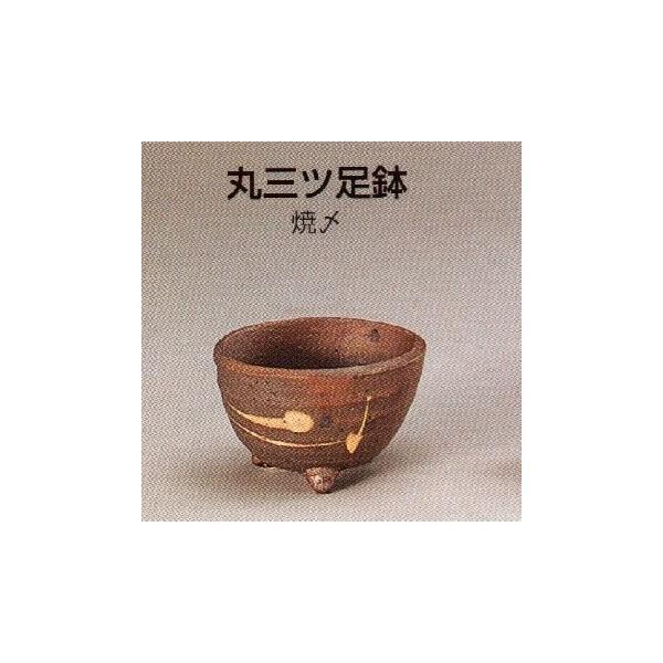 yRzێOR(2_āY)10T01