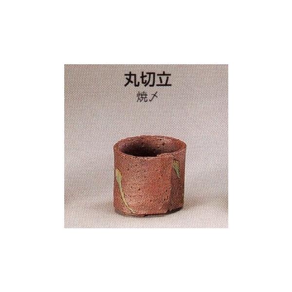 yRzېؗR(3_āY)10T06