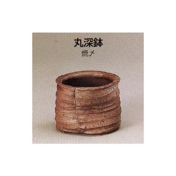 yRzې[R(3.5_āY)10T12