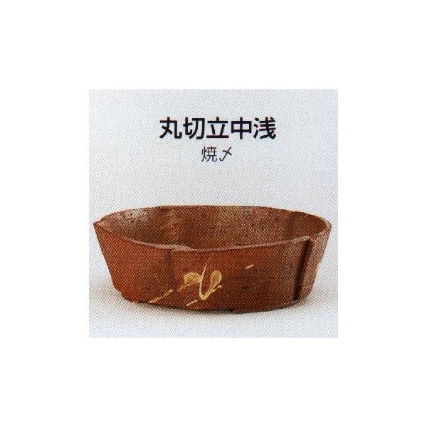 yRzېؗR(6_āY)11T19