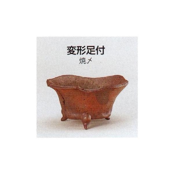 yRzό`tR(4_āY)12T06