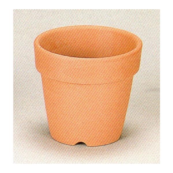 ラン 鉢」の人気商品一覧 | 安い商品を通販サイトから探す