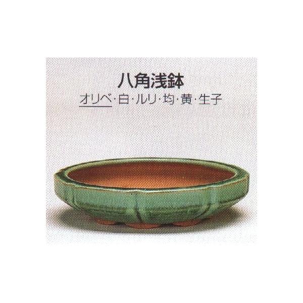 八角 鉢の人気商品 通販 価格比較 価格 Com
