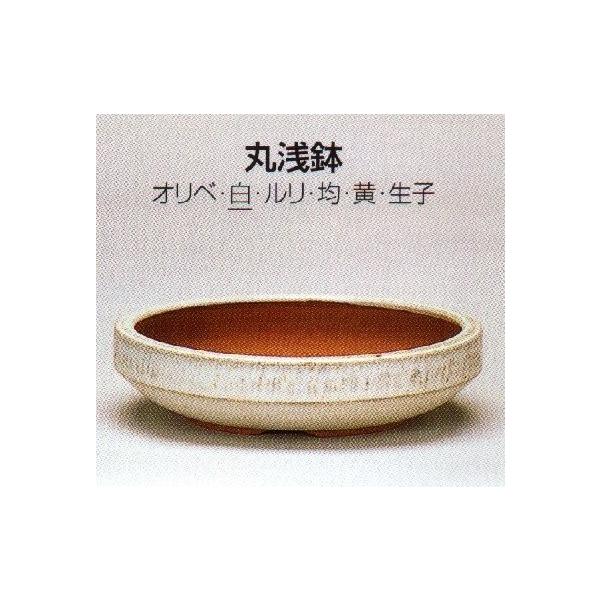 植木鉢 陶器 常滑焼 盆栽鉢 燿山 丸浅鉢 5号 白 Buyee Buyee Japanese Proxy Service Buy From Japan Bot Online