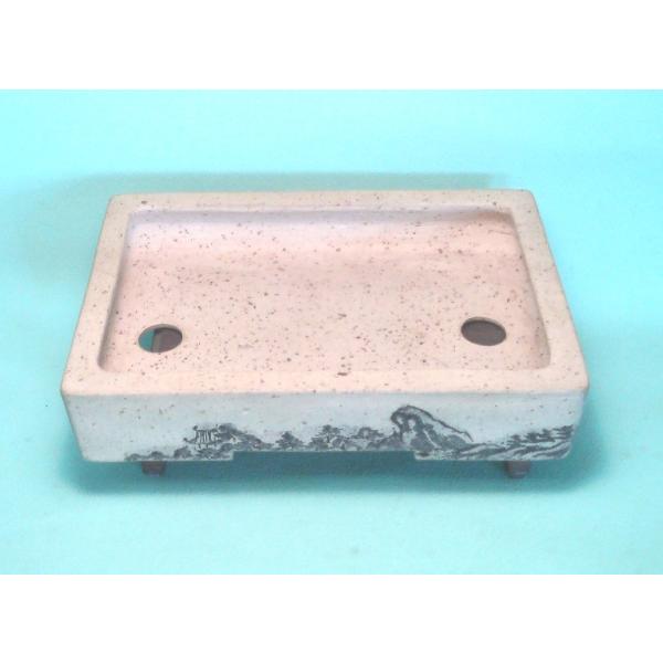 Aؔ ~j~͔ 튊 L 5.5ؗp~͔