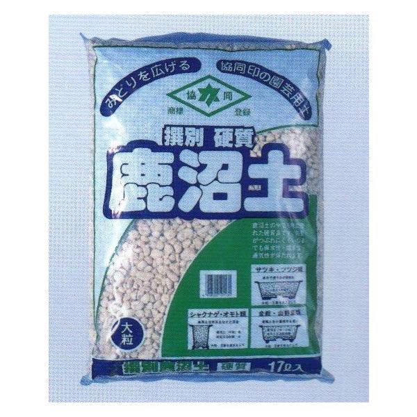 Iʍdy嗱(10mm`20mmj17L~̓K[fjO|py