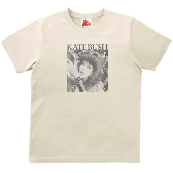 Kate Bush ケイト・ブッシュ ギターピック KATE BUSH (ケイト