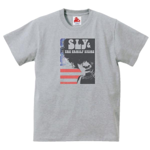 STONE  ストーン Tシャツ STONE ISLAND ストーンアイランド クルーネックTシャツ/24113