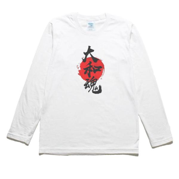 uekitaya_nmoj17