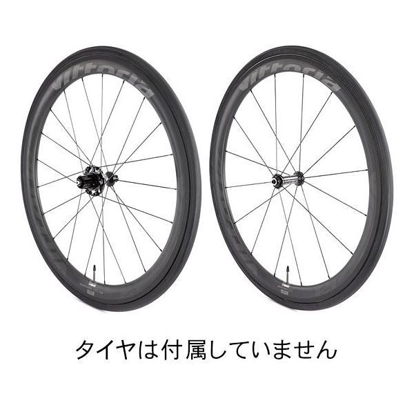 Vittoria (ヴィットリア) QURANO (キュラーノ) 46 カーボン チューブ