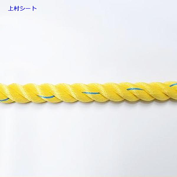 スーパーセーブロープ 親綱 のり面ロープ 18mmx200m テザック : 上村