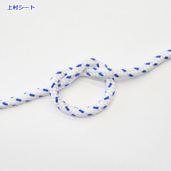 ヨットロープ、マリンロープに最適なPPマルチロープW打でよじれにくい紐ですので扱いやすいです。切売り、切り売り、切売、オーダーカット、カット。素材 PP/ポリプロピレン打ち方　W打ち（16打ち）直径　10mm 10ミリ 10Φ【ご注文方法】...
