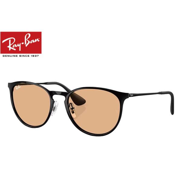 レイバン　サングラス　RB3539 ERIKA L 002/Q5 ERIKA（Ray-Ban） レイバン RayBan ERIKA METAL RB3539 002/93 54mm