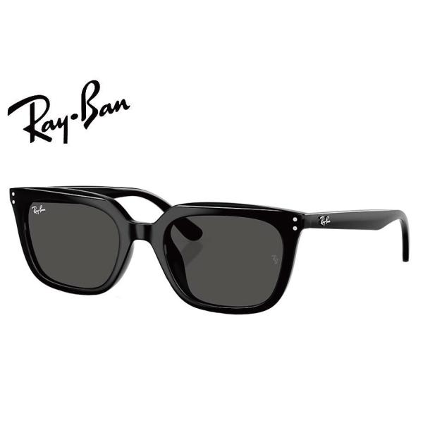 Ray-Ban ブラック Ray-Ban（レイバン） RayBan RB4439D 901/87 54mm ブラック