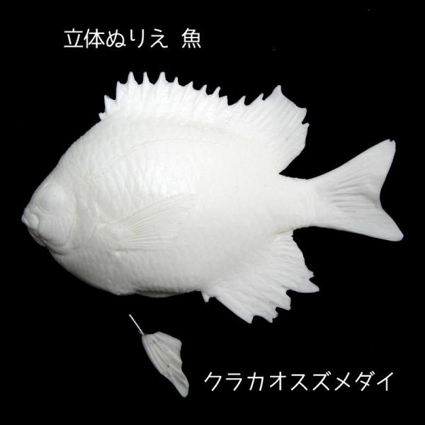 クラカオスズメダイ 立体ぬりえ 魚 Vol 3 Buyee Buyee Japanese Proxy Service Buy From Japan Bot Online