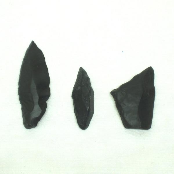 uenokagakusya_ns3j4r7gxj