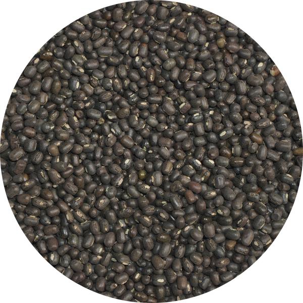 ウタドホールは、インドやミャンマー原産の豆で、日本の「ケツルアズキ（毛蔓小豆）」にあたるものです。黒い皮に覆われていることから、「ブラックマッペ」や「ウラド豆」とも呼ばれています。