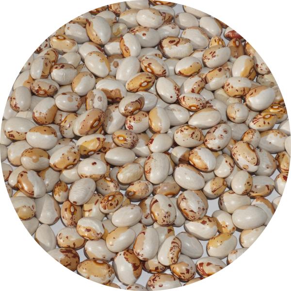 原産国：日本北海道北見道南産原材料：虎豆(虎うずら)形態：袋入り賞味期限：300日保存方法：直射日光・高温多湿を避け、冷暗所にて密閉保存下さい。開封後はどうぞお早めにご使用下さい。